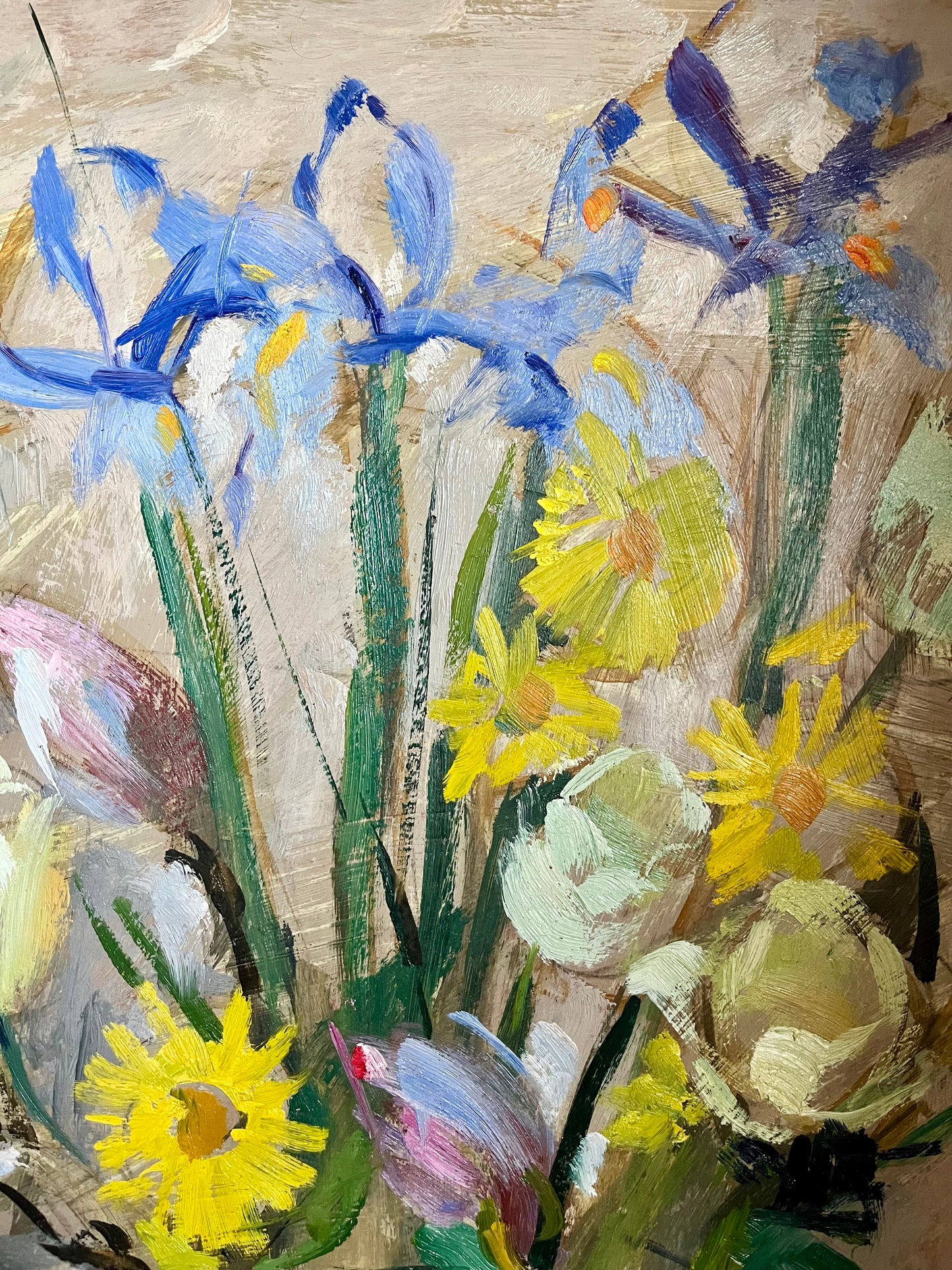 Tulips & Iris