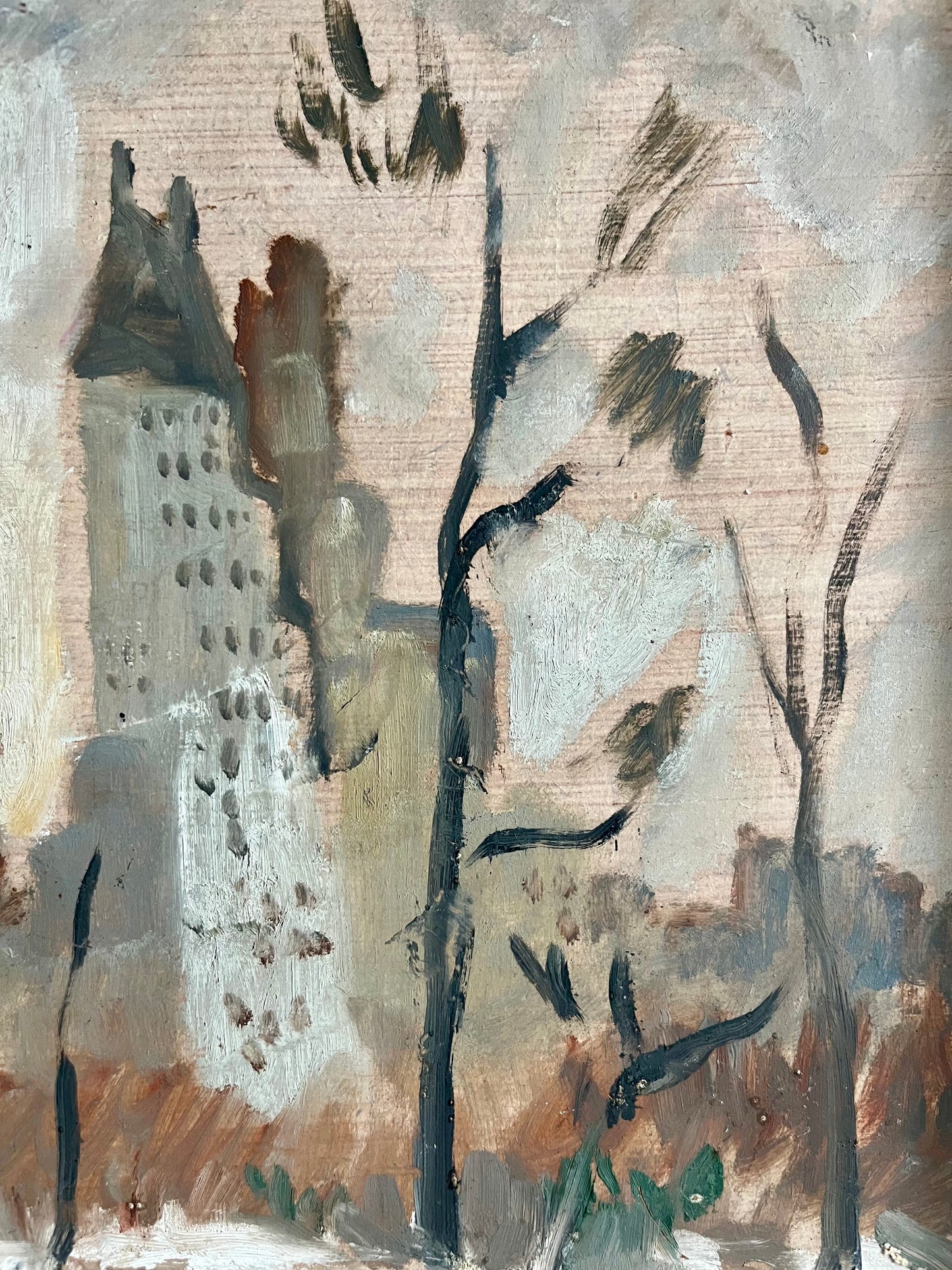 View From Central Park