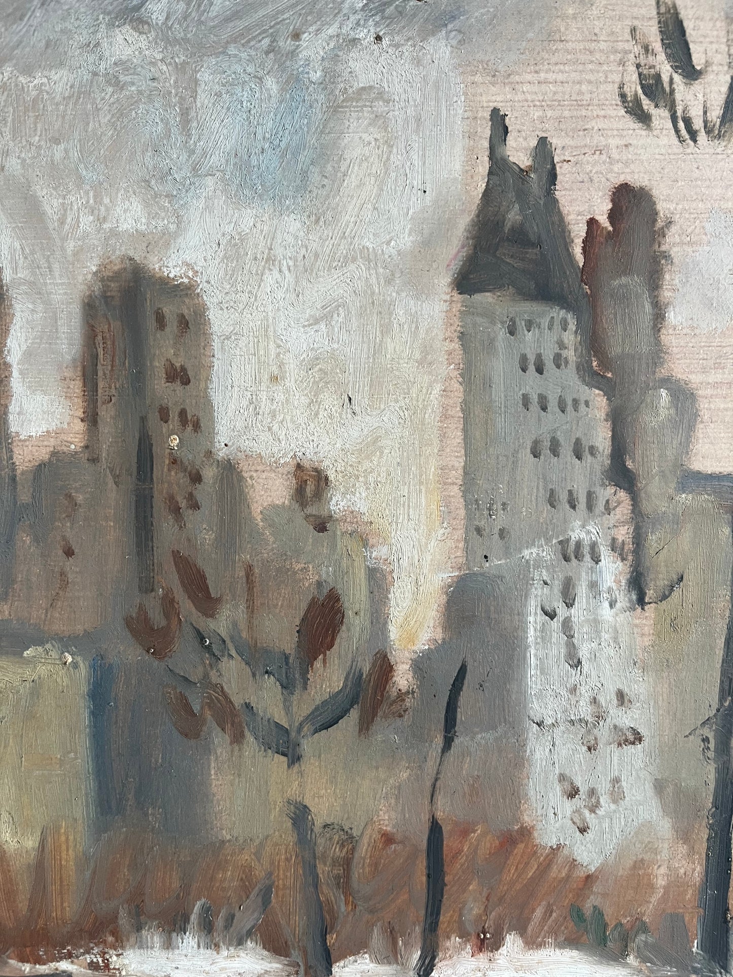 View From Central Park