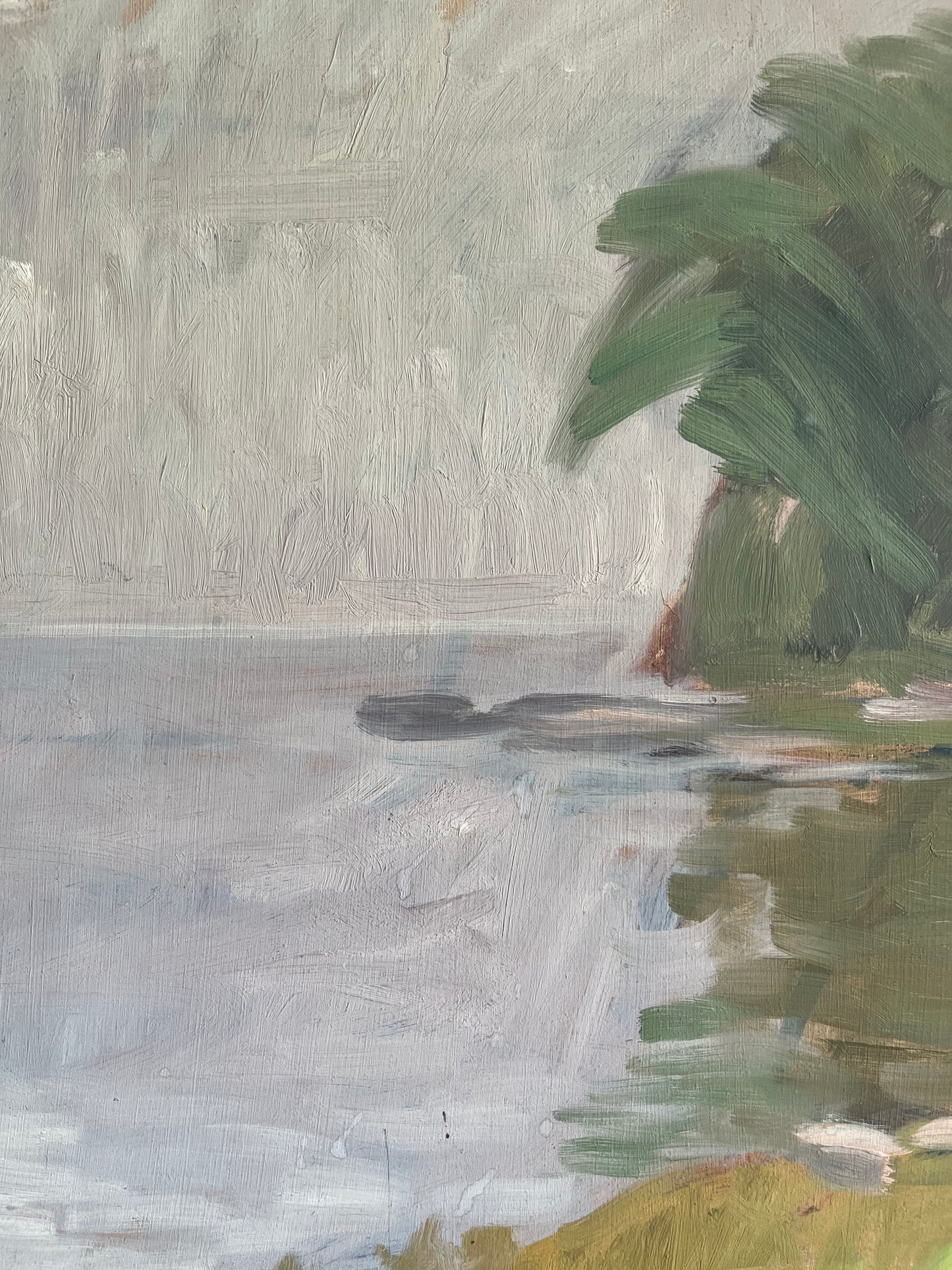 Shoreline